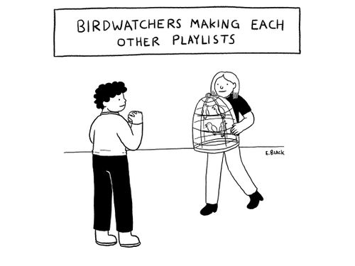 Birdwatchers making each other playlists