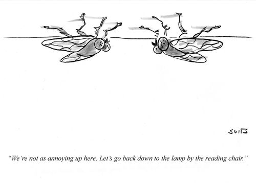 "We're not as annoying up here. Let's go back down to the lamp by the reading chair."