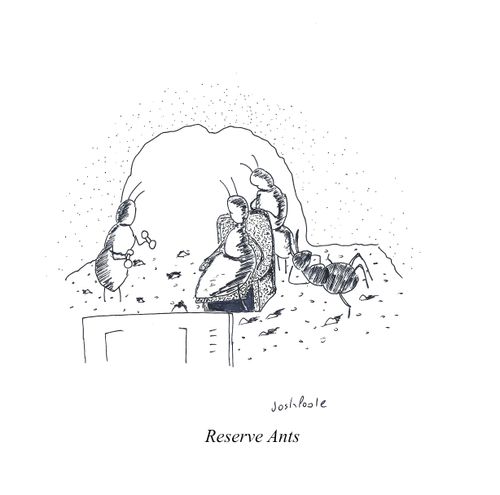 Reserve Ants