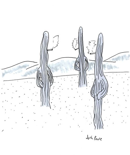 Three cactuses smoking