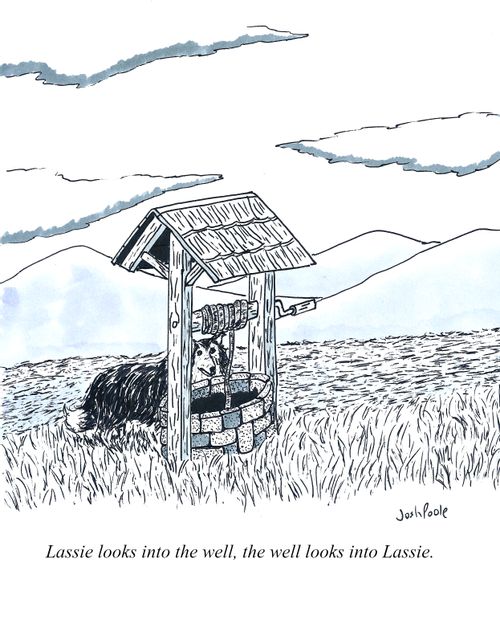 Lassie looks into the well, the well looks into Lassie.