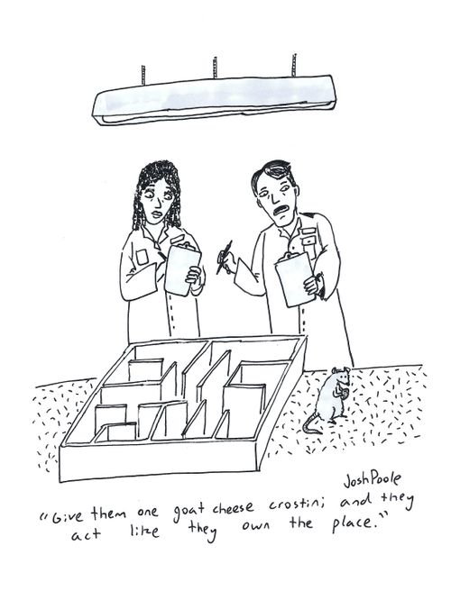"Give them one goat cheese crostini and they act like they own the place."