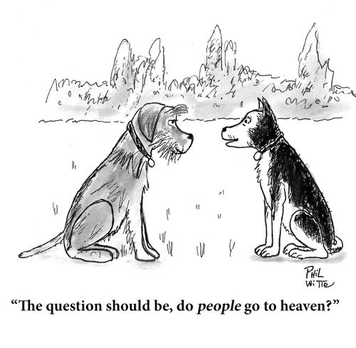 "The question should be, do PEOPLE go to heaven?"