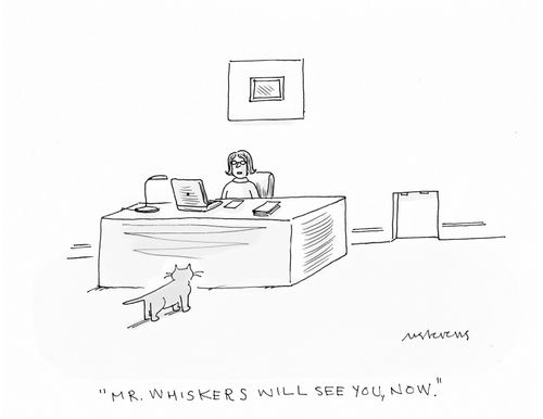 "Mr Whiskers will see you, now."