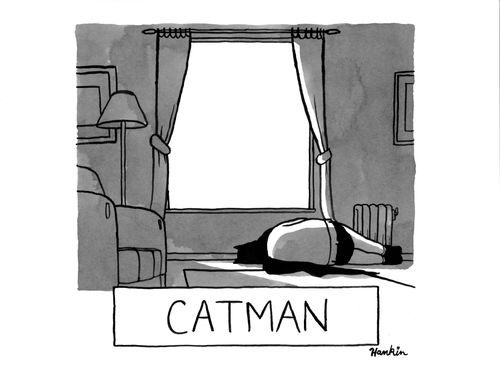 Catman