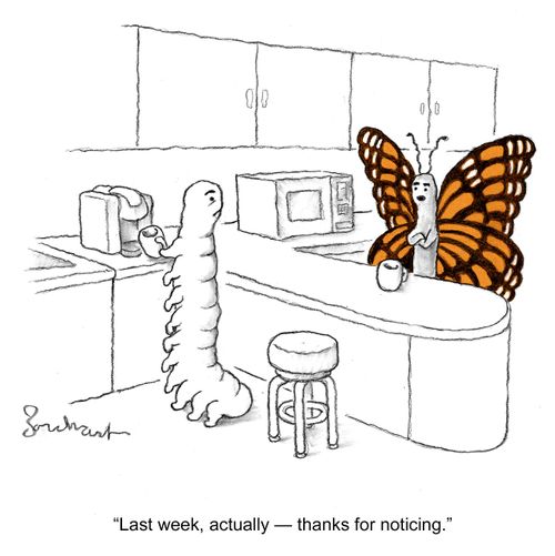 "Last week, actually – thanks for noticing."
