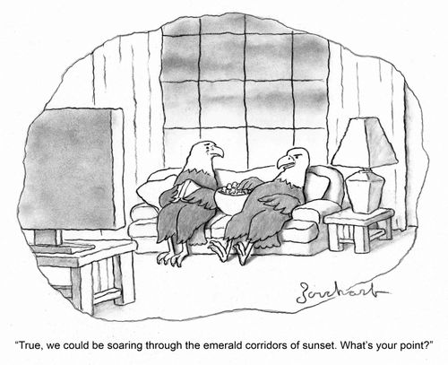 "True, we could be soaring through the emerald corridors of sunset. What's your point?"