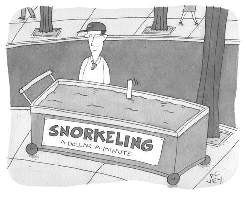Snorkeling: A Dollar A Minute