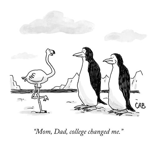 "Mom, Dad, college changed me."