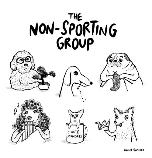 The Non-Sporting Group