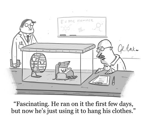 "Fascinating. He ran on it the first few days, but now he's just using it to hang his clothes."