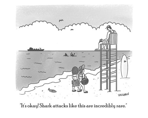 "It's okay! Shark attacks like this are incredibly rare."
