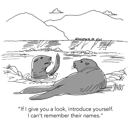"If I give you a look, introduce yourself. I can't remember their names."
