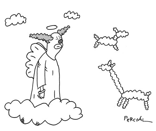 Clown angel seeing balloon shaped clouds.