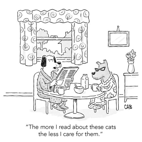 "The more I read about these cats the less I care for them."