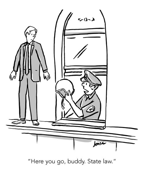"Here you go, buddy. State law."