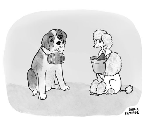 Dogs with alcohol collars.