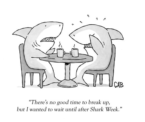 "There's no good time to break up, but I wanted to wait until Shark Week."