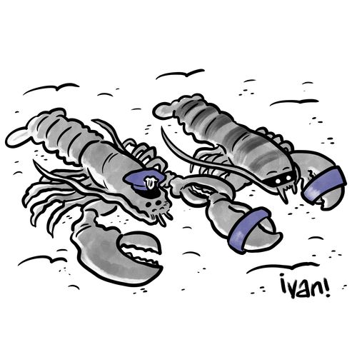 One lobster has another in hand cuffs.