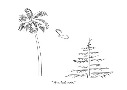 "Vacation's over."