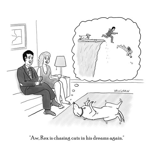 "Aw, Rex is chasing cats in his dreams again."