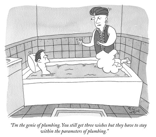 "I'm the genie of plumbing. You still get three wishes but they have to stay within the parameters of plumbing."