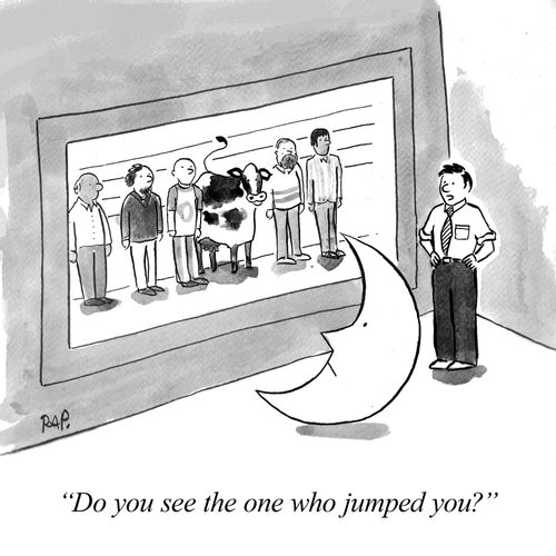 "Do you see the one who jumped you?"