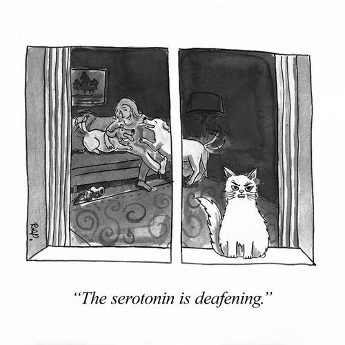 "The serotonin is deafening."