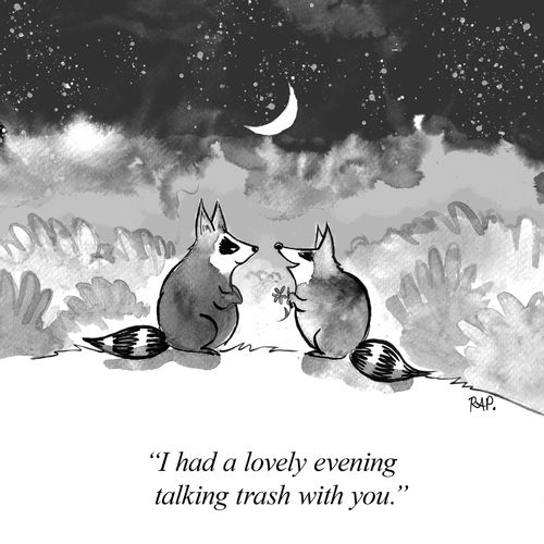 "I had a lovely evening talking trash with you."