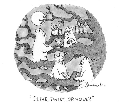 "Olive, twist, or vole?"