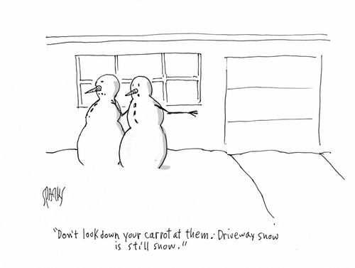 "Don't look down your carrot at them. Driveway snow is still snow."