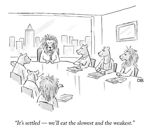 "It's settled - we'll eat the slowest and the weakest."