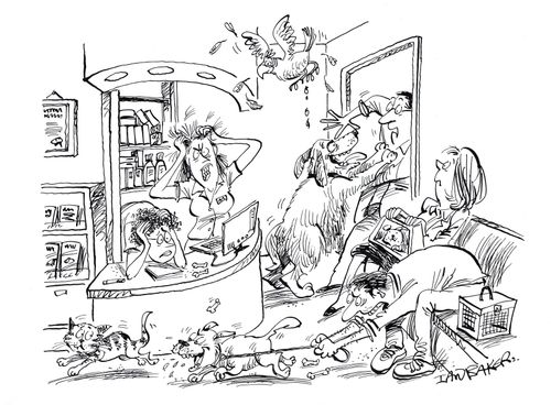 Chaos at the vet's office.