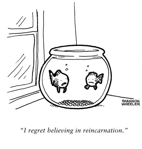 "I regret believing in reincarnation."