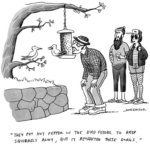 "They put hot pepper in the bird feeder to keep squirrels away, but it attracted these dorks."