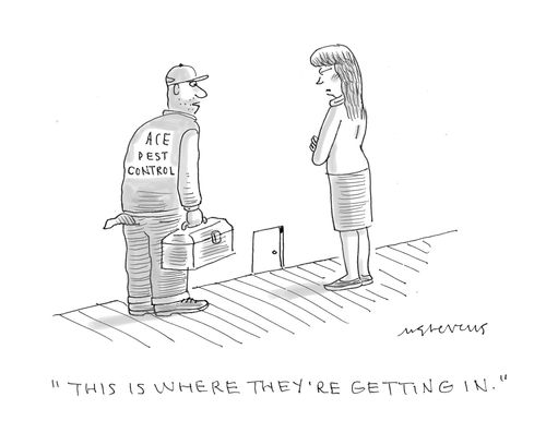 "This is where they're getting in."