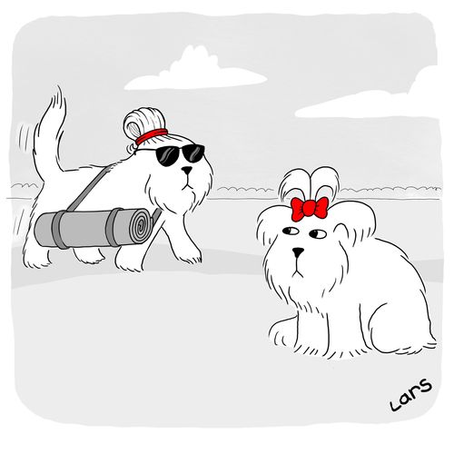 Yoga Dog