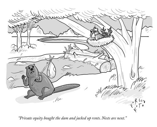 "Privare equity bought the dam and jacked up rent. Nests are next."