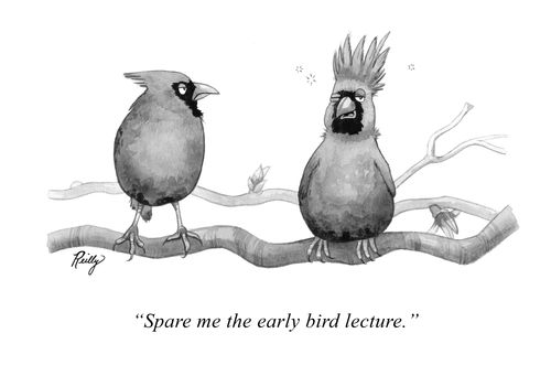 "Spare me the early bird lecture."