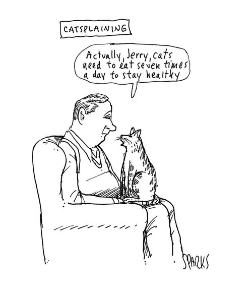 Catsplaining: Actually, Jerry, cats need to eat seven times a day to stay healthy
