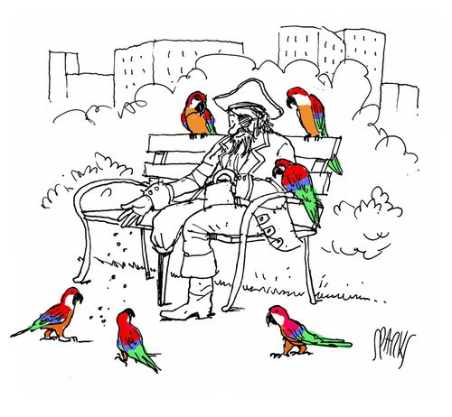 A pirate sits on a park bench feeding parrots