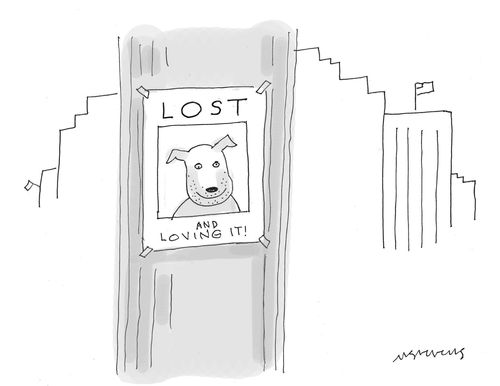 Lost and loving it!