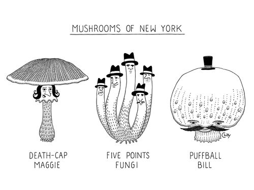 Mushrooms of New York