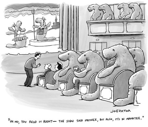 "Oh no, you read it right – the sign said matinée, but also, it's manatee."