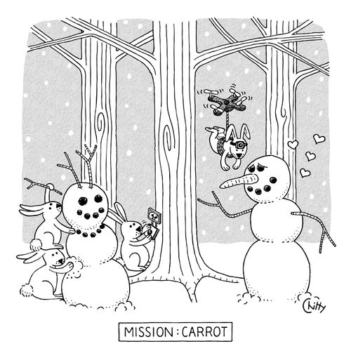 Mission: Carrot