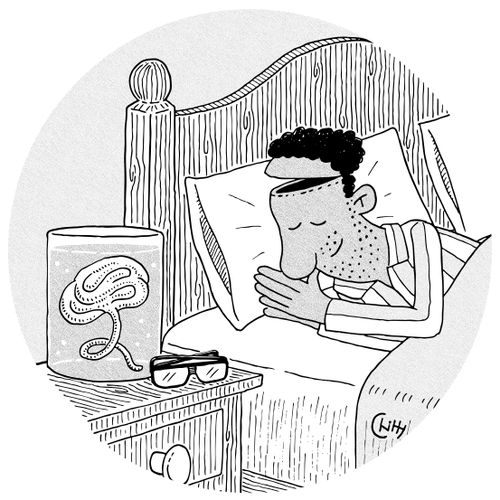 Brainless Sleep