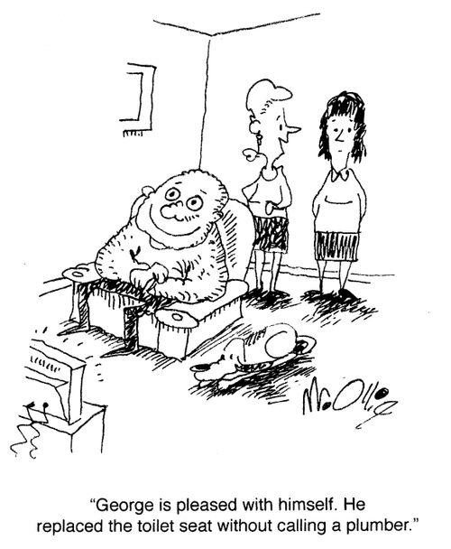 George is pleased with himself. He replaced the toilet seat without calling a plumber.