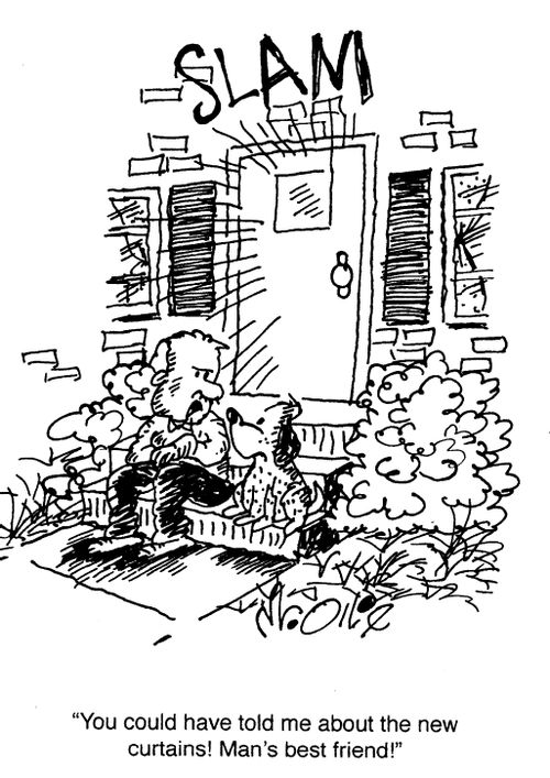 "You could have told me about the new curtains! Man’s best friend!"