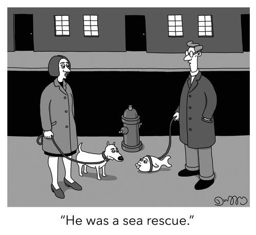 "He was a sea rescue."