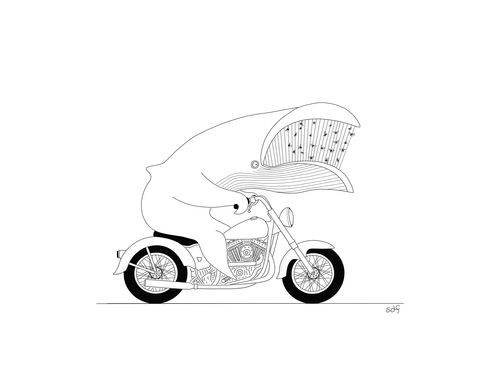 Whale on a motorbike